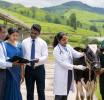 ජාතික පශු සම්පත් ප්‍රතිපත්තිය ක්‍රියාත්මක කිරීමට අමාත්‍ය මණ්ඩල අනුමැතිය